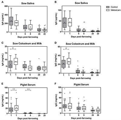 Oral Meloxicam Administration in Sows at Farrowing and Its Effects on Piglet Immunity Transfer and Growth